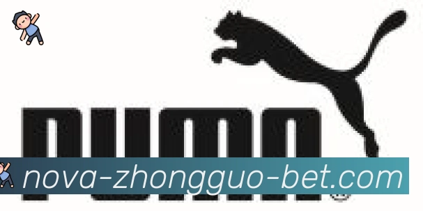 中国体彩网合作伙伴
